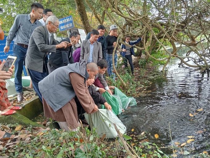 Releasing fish fingerlings at Tra Loc Tram eco-tourism area. Photo: Viet Toan.