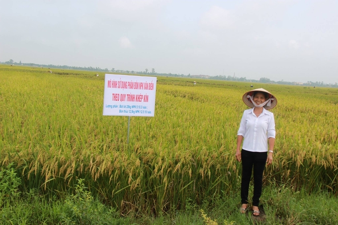 Phân bón đa yếu tố NPK Văn Điển chuyên dùng cho lúa mang lại niềm vui cho bà con nông dân.