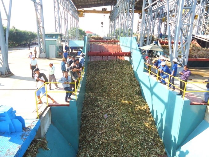 Entering the 2017–2018 crushing crop year, the domestic sugarcane industry began to face an unprecedented crisis. Photo: V.D.T.