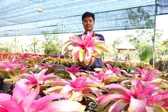 9x-uom-mam-khoi-nghiep-tao-ra-150-dong-dua-mau-nam-my-153746_952-153747.jpg Mô hình khởi nghiệp mới này đã mang về nguồn thu nhập ổn định cho anh Nguyễn Phạm Minh Châu ở tuổi 26. Ảnh: Kim Anh.