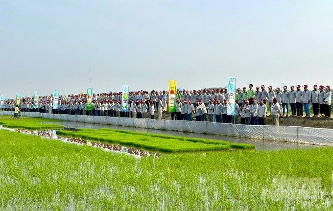 michelle-62ec-tora-11sl-giai-phap-tien-tien-tren-canh-dong-hoi-nhap-220134_600-220135.jpg Đại biểu tham quan đầu bờ tại Hội thảo chuyển giao giải pháp đầu vụ trên cánh đồng hội nhập do VFC phối hợp với Viện Lúa ĐBSCLtổ chức.