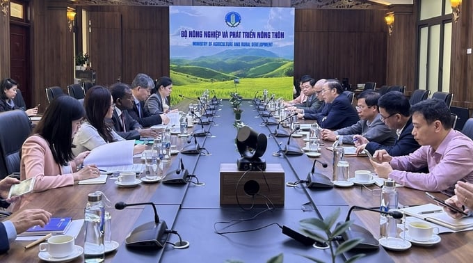 Thứ trưởng Bộ NN-PTNT Phùng Đức Tiến tiếp và làm việc với ông Hua Liu, Phó Tổng giám đốc Cơ quan Năng lượng nguyên tử quốc tế (IAEA). Ảnh: Linh Linh.