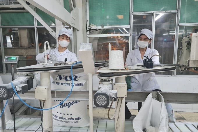 Nghe An Sugar Company Limited has created a close linkage with farmers on Phu Quy land. Photo: Viet Khanh.