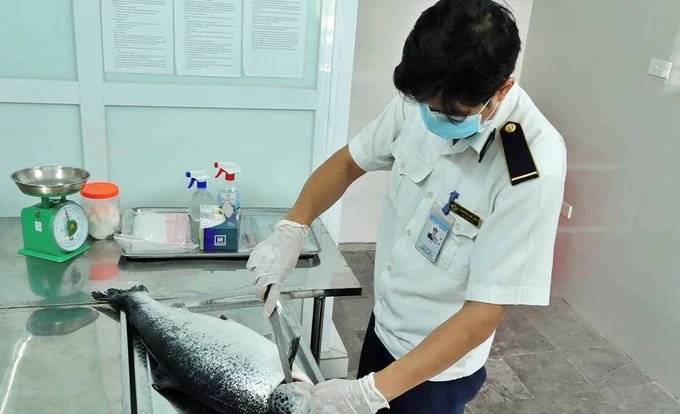 thu-y-145635_162-155722-080946_318.jpg Việc kiểm soát dịch bệnh và vệ sinh ATTP đối với sản phẩm thịt động vật, các loại khác nói chung từ nước nhập khẩu vào Việt Nam được tổ chức rất chặt chẽ.