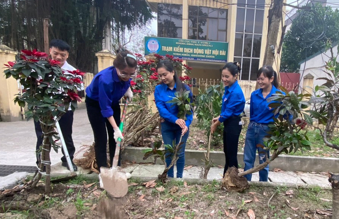 trong-cay-235313_616.jpeg Đoàn Thanh niên Chi cục Thú y vùng I hưởng ứng Tháng Thanh niên năm 2024 của Ban Chấp hành Đoàn Bộ Nông nghiệp và Phát triển nông thôn ra quân trồng cây xanh tại Trạm Kiểm dịch động vật Nội Bài. Ảnh: NH.