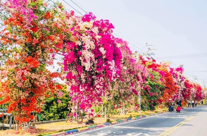 Rực rỡ sắc màu. Ảnh: Trang Làng nghề hoa giấy Phù Đổng.