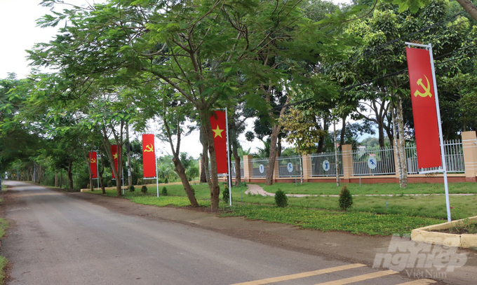 Những con đường được trải thảm nhựa, hai bên đường phủ các loại hoa đủ màu sắc của huyện Xuân Lộc.