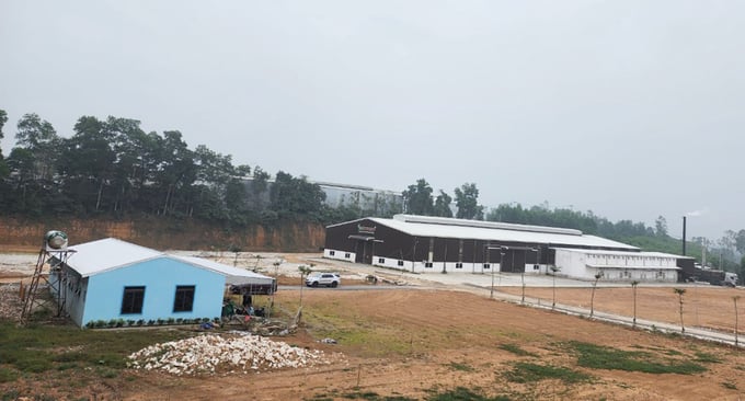 nhat-huy-132622_557.jpg Sai phạm của Công ty Nhật Huy cho thấy công tác quản lý, giám sát đất đai có vấn đề. Ảnh: Khôi An.