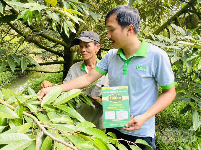 Sử dụng TBIO-71 giúp cây xanh tốt, hạn chế được cháy lá, ít xì mủ trên thân cây và đặc biệt giảm chi phí từ 15-20% so với canh tác thông thường. Ảnh: Lê Hoàng Vũ.