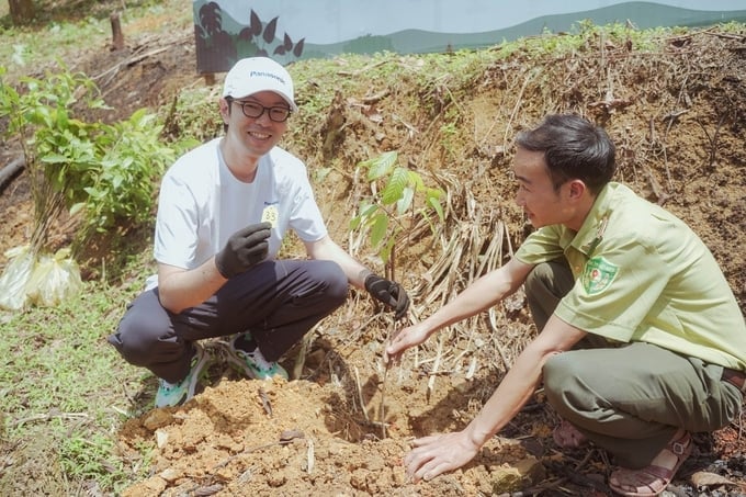 Afforestation brings healthy lives to people and contributes to the country's sustainable development.