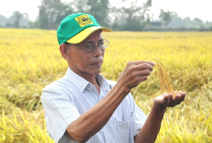 Nằm trong vùng hưởng lợi hệ thống thủy lợi Cái Lớn - Cái Bé, nông dân Hậu Giang vừa có vụ lúa đông xuân 2023 - 2024 thu hoạch bội thu, bán được giá, mang lại lợi nhuận cao. Ảnh: Trung Chánh.