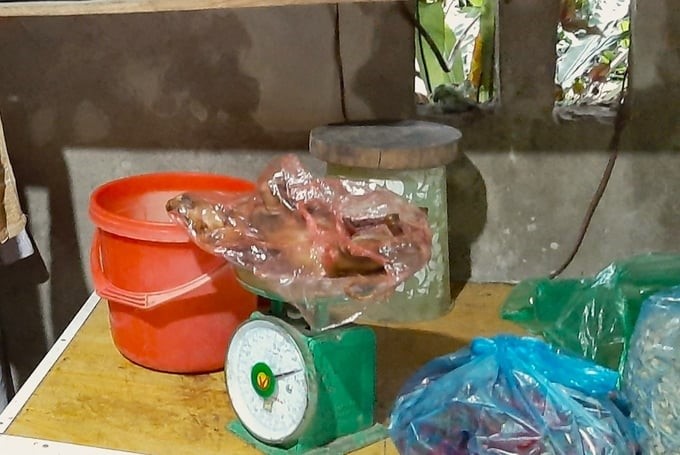 A masked palm civet prepares to become a bar snack for diners. Photo: SL.
