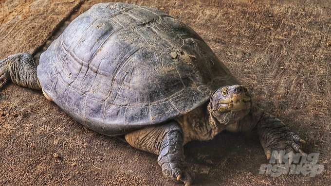 Wildlife farming facilities have been guided through the procedures and regulations for registering establishment codes and maintaining necessary import and export records. 