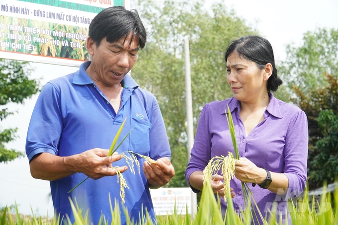 anh-2-135809_343-135810.jpg Sản xuất lúa được xác định là lĩnh vực kinh tế nông nghiệp trọng điểm, giúp nâng cao thu nhập cho người dân huyện Thới Lai trong xây dựng NTM. Ảnh: Kim Anh