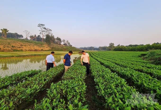 In 2024, Phu Luong district will reach the new rural finish line, one year ahead of the set goal. Photo: Dao Thanh.