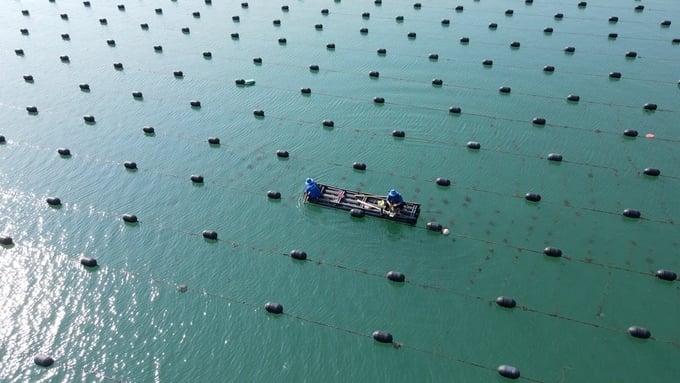Localities should take proactive steps to implement provincial-level planning for the marine sector by utilizing 'Marine Functional Zoning.' Photo: Duy Hoc.