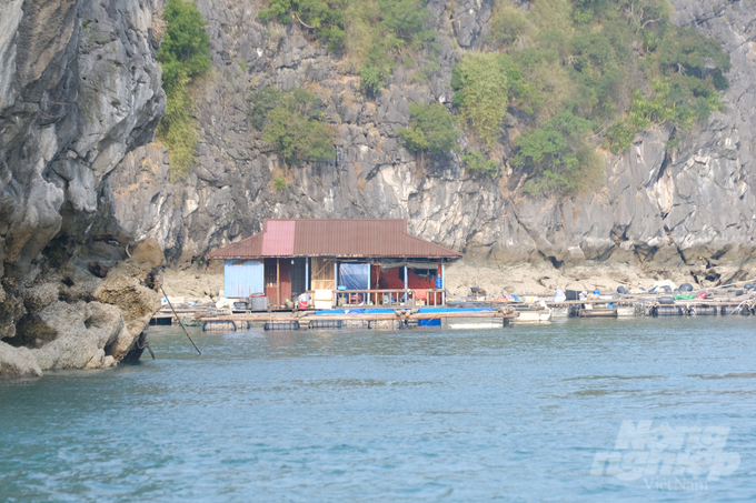 Nó là những bức tường che chắn kín gió, kín sóng...