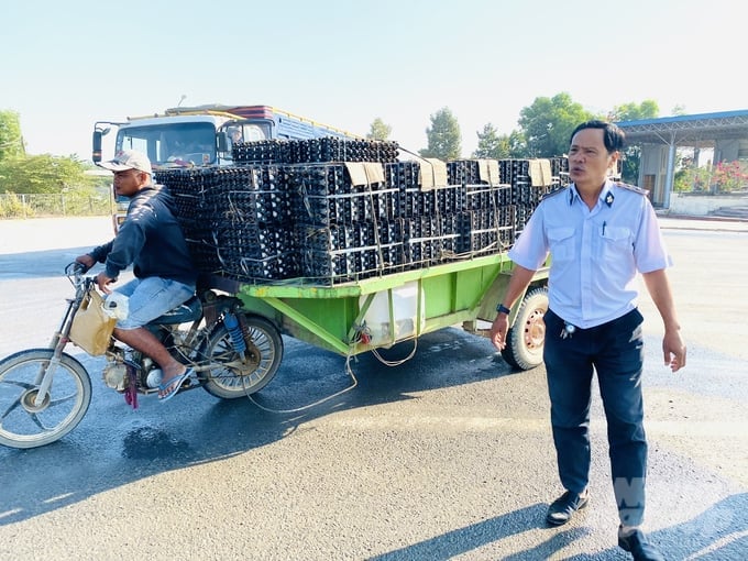 Mr. Nguyen Truong Ton, Chief of the Animal Quarantine Station at Dinh Ba International Border Gate in Tan Hong District, Dong Thap Province, inspecting a vehicle carrying poultry eggs from Vietnam to Cambodia at the Dinh Ba border gate. Photo: Le Hoang Vu.