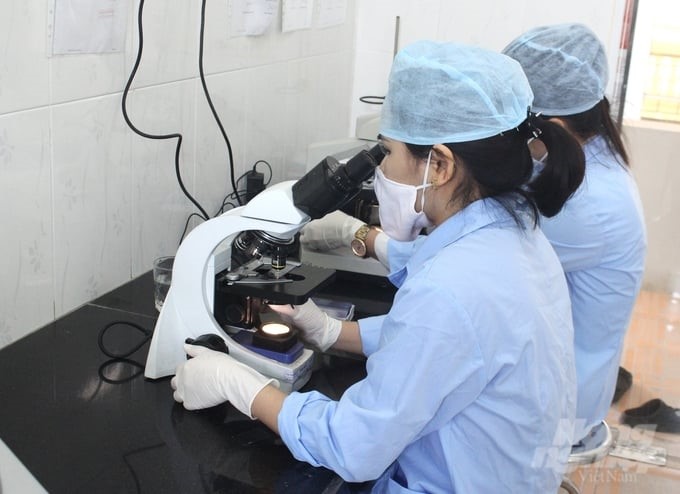 According to the draft new Circular, the term of quarantine certificates for animals and animal products for export will be extended from 60 days to 180 days. Photo: Trung Quan.