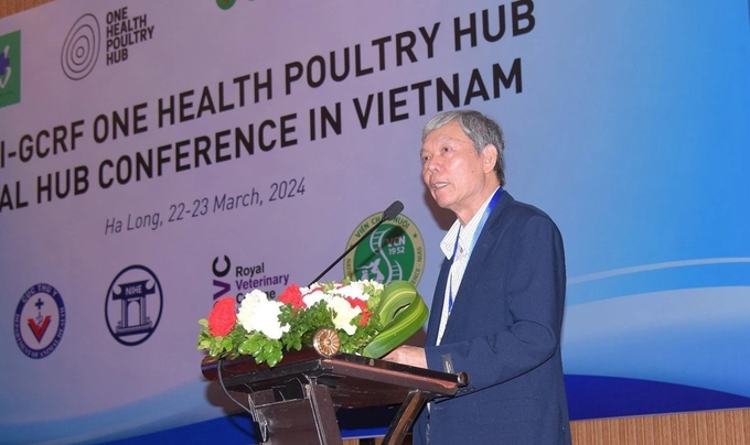 Giáo sư Vũ Đình Tôn, chủ nhiệm nhánh của Dự án nghiên cứu gia cầm Một sức khỏe tại Việt Nam. Ảnh: Nguyễn Thành.