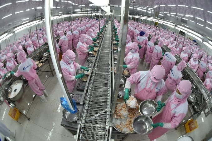Our country's seafood export turnover in the first quarter of 2024 is estimated to reach USD 1.86 billion, an increase of 1.9% over the same period in 2023. Photo: PTC.