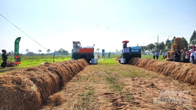 VIETRISA proposes to participate in developing low-emission rice regulations and standards. Photo: Kim Anh.