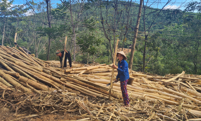 z5314863747712_d7fe7912c7c17e3350d58d83bb37b6a6-125007_729.jpg Người dân Yên Tĩnh hoàn toàn có thể sống tốt nhờ vào vốn rừng thay vì chạy theo những thứ phù phiếm, xa hoa. Ảnh: Việt Khánh.