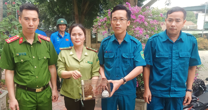 z5321758255725-a245bd02474a2356e5b9afc8c4930ce2-8483-185634_718.jpg Cơ quan chức năng tiếp nhận cá thể cu li trong quá trình kiểm tra tình hình thiên tai. Ảnh: T.N.