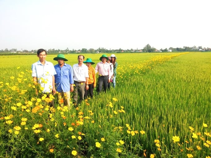 Ecological field. Photo: Le Hoang Vu.