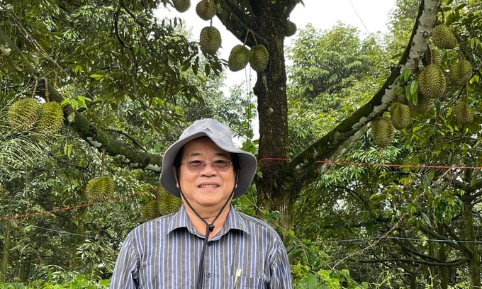 rau-qua-nhieu-co-hoi-dat-ky-luc-xuat-khau-6-ty-usd-234253_684.jpeg