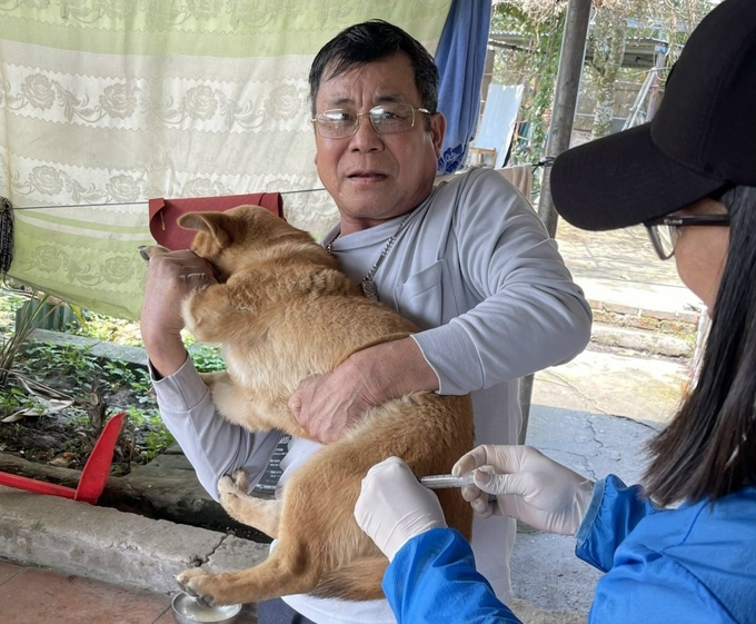 ti-le-tiem-phong-dai-cho-vat-nuoi-o-lang-son-qua-thap-104539_550.jpg Tiêm phòng dại cho vật nuôi là cách phòng bệnh hiệu quả. Ảnh: Nguyễn Thành.