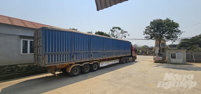 t1-115305_253-115306.jpg Xe chở gỗ dăm của Công ty LHD xuất xưởng. Ảnh chụp ngày 6/3.