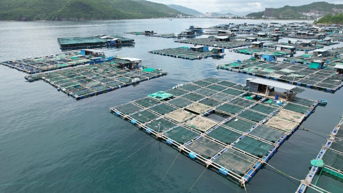 Nuôi trồng thủy sản trên vịnh Vân Phong, huyện Vạn Ninh, tỉnh Khánh Hòa. Ảnh: Hồng Thắm.