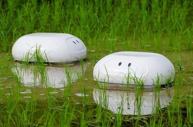 robot-diet-co-giam-oc-buou-vang-giam-khi-metan-nhung-khong-giam-nang-suat-lua-144851_312.jpeg