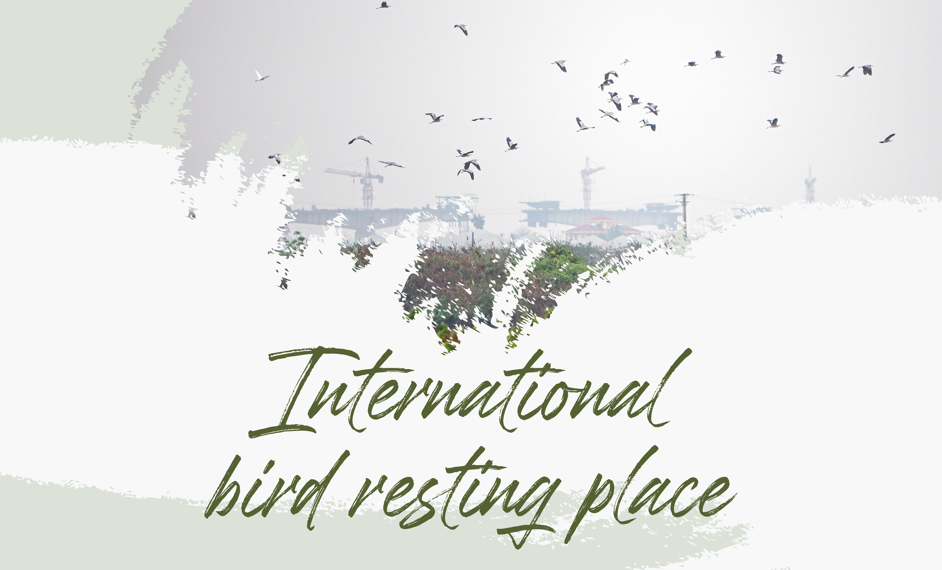 xuan-thuy-where-the-birds-return-173903_504.jpg