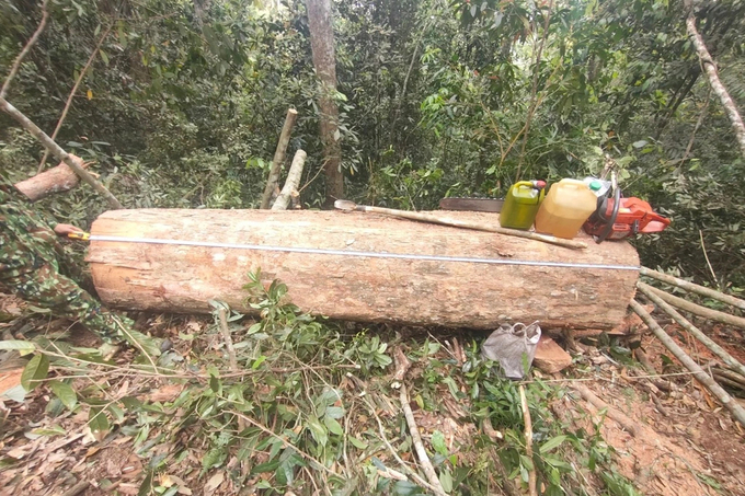 Tang vật được các chiến sỹ Bộ đội Biên phòng, Đồn Biên phòng Pù Nhì thu giữ tại hiện trường. Ảnh: Đồn Biên phòng Pù Nhi. 