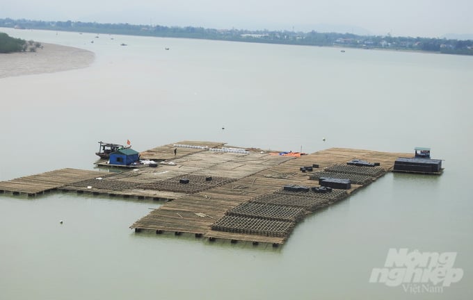 hau2-153618_524-153619.jpg Các bè nuôi hàu tại Cửa Hội, huyện Nghi Xuân chưa có bất kỳ hồ sơ pháp lý nào nhưng hộ dân đã thả giống nuôi trồng hơn 3 tháng. Ảnh: Thanh Nga.