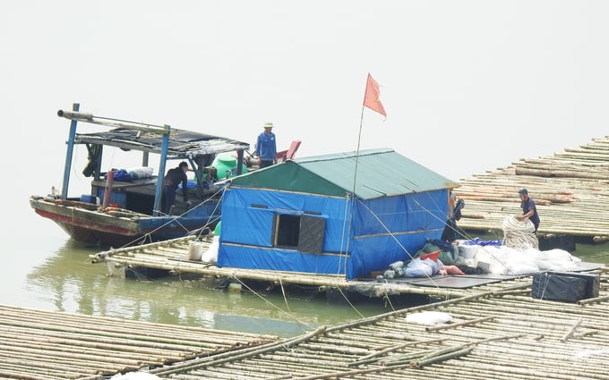 hau3-153621_853-153622.jpg Đề tài nuôi hàu Cửa Hội xây dựng nhằm mục đích tạo điều kiện cho người địa phương phát triển kinh tế song thực tế người thực hiện là công dân các tỉnh khác. Ảnh: Thanh Nga.