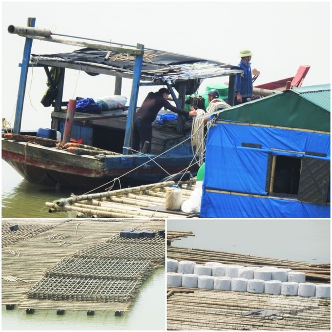 hau7-153630_712-153631.jpg Các cơ quan chức năng liên quan chưa nhận được bất kỳ ý kiến tham vấn nào của huyện Nghi Xuân về việc đảm bảo an toàn trên sông Lam từ hoạt động nuôi hàu. Ảnh: Thanh Nga.