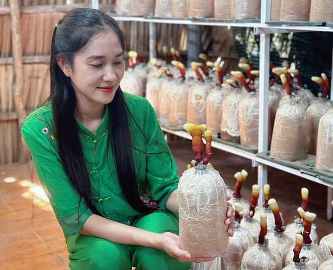 c8c53f151574bb2ae265-095413_749.jpg Chị Xuân kiểm tra trại nấm dược liệu. Ảnh: Minh Đảm.