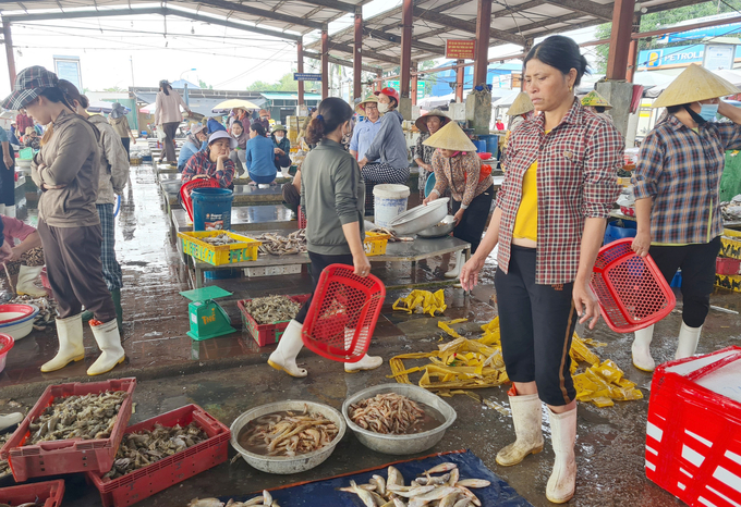 Thủy sản Nghệ An còn rất nhiều việc phải làm nếu muốn xóa 'thẻ vàng' của EC. Ảnh: Việt Khánh.