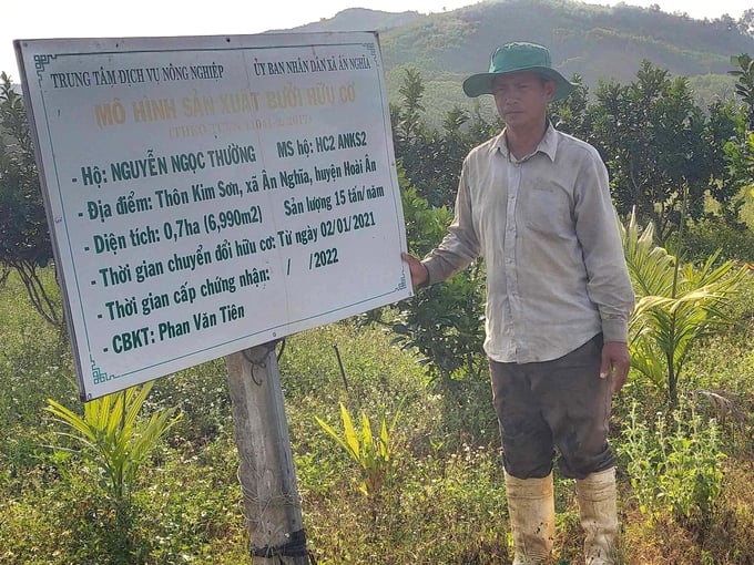 Mô hình trồng bưởi hữu cơ của anh Nguyễn Ngọc Thường tại thôn Kim Sơn, xã Ân Nghĩa (huyện Hoài Ân, Bình Định). Ảnh: V.Đ.T.