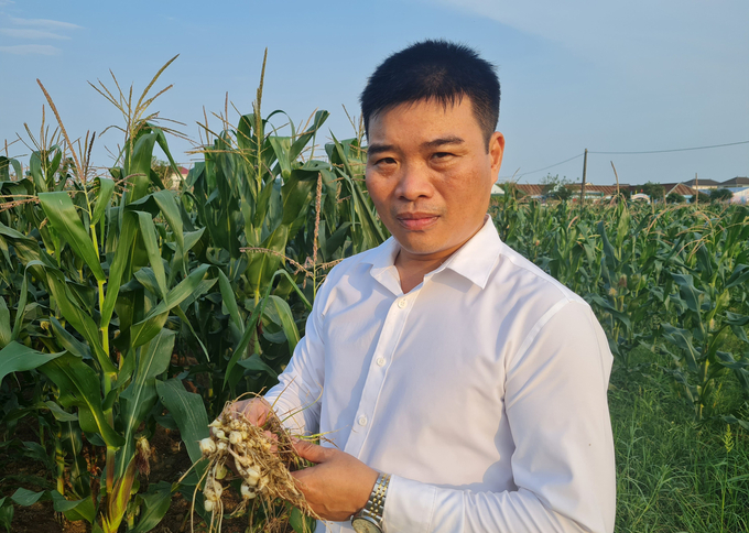 z5307667933637_1e622ad3585f3adb16b64f1e4bac6b15-070354_468.jpg Ông Lê Chí Thông, Phó Chủ tịch UBND xã Nghi Thuận cho biết hành tăm là cây trồng chủ lực của xã. Ảnh: Tâm Phùng.