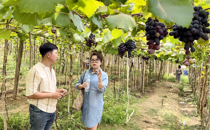 z5372087484225_ac482dde36809a6830a05084c1edf257-172238_5.jpg Anh Dương đang chia sẻ niềm đam mê với khách tham quan. Ảnh: Đăng Lâm.