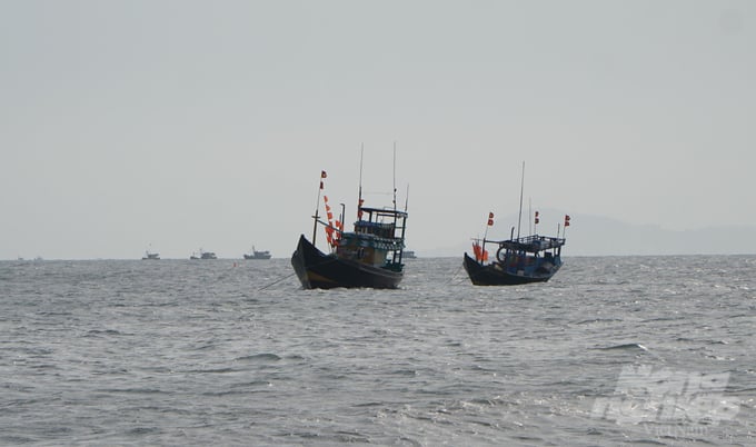 Kiểm soát tốt lực lượng tàu cá '3 không' giúp cho việc thực hiện khuyến nghị của EC đối với công tác phòng chống khai thác IUU của Bà Rịa - Vũng Tàu được sát sao hơn. Ảnh: Lê Bình.
