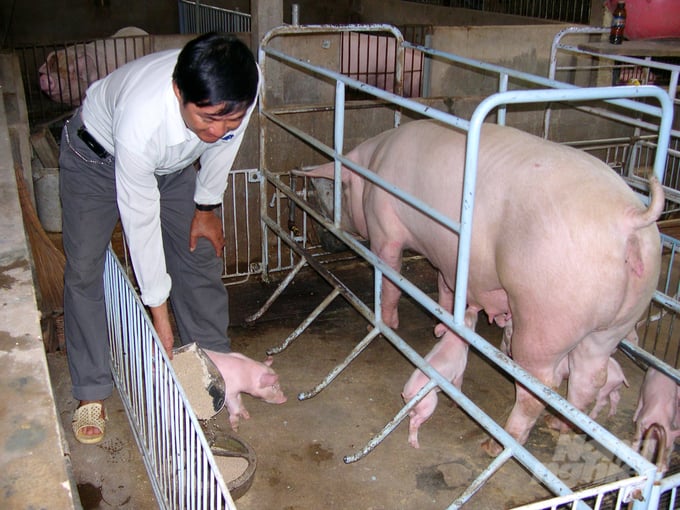 doanh-nghiep-la-dau-keo-phat-trien-nganh-chan-nuoi-quy-mo-lon-055922_891-055923.jpg Đến nay, đã có hàng chục doanh nghiệp và cơ sở thực hiện đầu tư phát triển trang trại chăn nuôi quy mô lớn tại An Giang. Ảnh: Lê Hoàng Vũ.