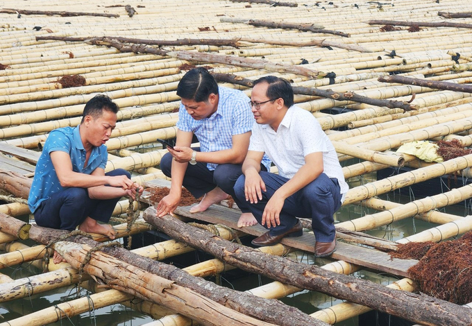 hau2-100320_43.jpg Cơ quan chức năng kiểm tra mô hình nuôi hàu tại Cửa Hội của các hộ dân sau phản ánh của Báo Nông nghiệp Việt Nam.
