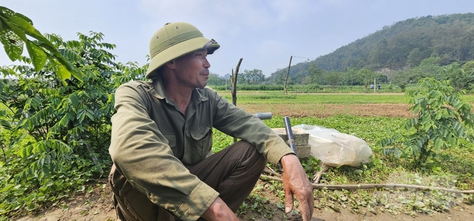 rau-ma-112533_510-112533.jpg Lão nông Lương Trọng Thắng (Làng cổ Đông Sơn, phường Hàm Rồng, TP Thanh Hóa) có thâm niên trồng rau má 35 năm nay. Ảnh: Quốc Toản.