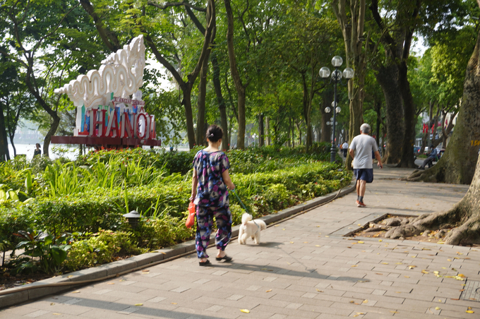 Bệnh dại trên động vật và trên người hoàn toàn có thể phòng được nếu áp dụng đồng bộ các giải pháp phòng, chống dịch bệnh. Ảnh: Hồng Thắm.