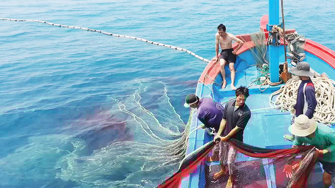VASEP is concerned that the IUU yellow card warning will affect tuna exports.